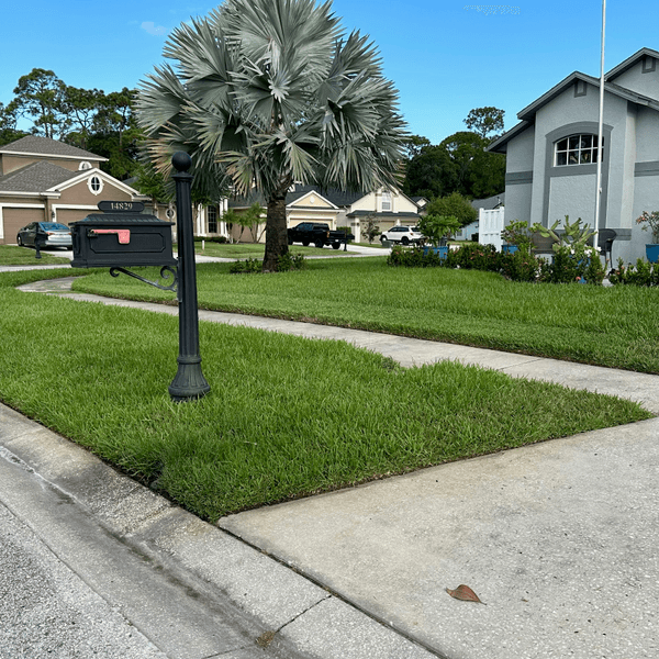 Edged Tampa front lawn maintained by Mitrakos Lawn Care