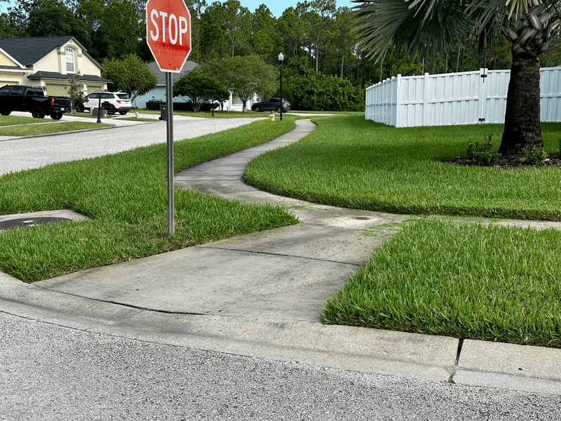 Manicured lawn with crisp edging in Westchase, Tampa