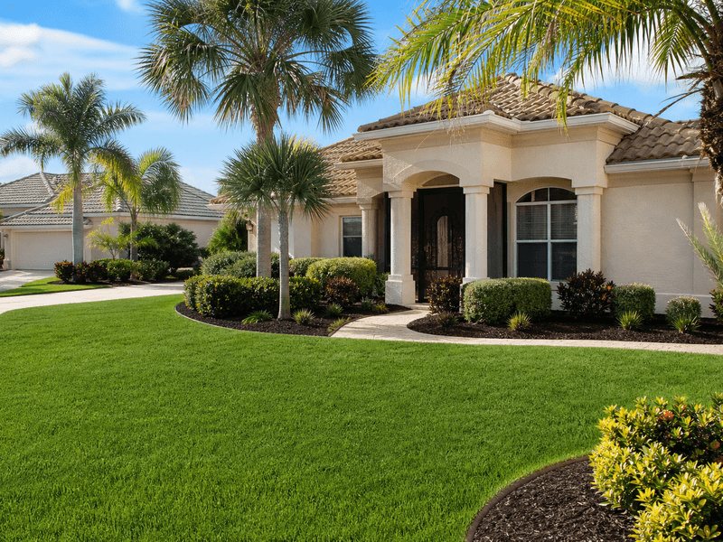 Full-service yard after mowing, edging and trimming in Tampa