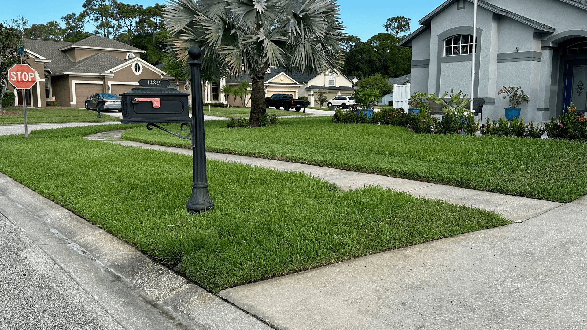 lawn mowing